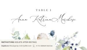 bianca-stat-43-07 | Bianca Place card flat 3.5×2": bianca-large-bundle-43-01 | Large Premium Bundle