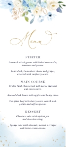 azzurra-stat-17-09 |  4x9" Menu: azzurra-stat-17-09 | menu