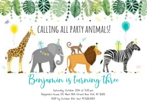 Party Animals Safari: Party Animals Safari