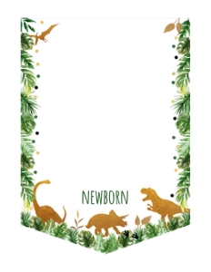 A498 Photo Banner: A498 Photo Banner