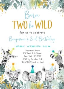 A557 Invite26 design preview