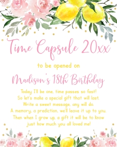A613 Time Capsule Sign design preview