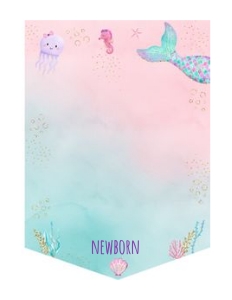 A615 Photo Banner: A615 Photo Banner