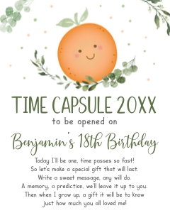 A535 Time Capsule: A535 Time Capsule