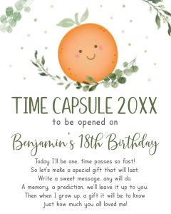 A535 Time Capsule design preview