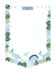 A573 Photo Banner design preview