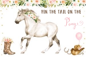 A645 Pin The Tail Poster design preview