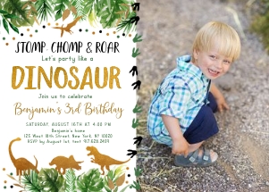 A498 Photo Birthday Invite2: A498 Photo Birthday Invite2