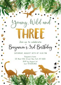 A498 Wild Three Invite design preview