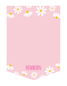 A691 Photo Banner design preview