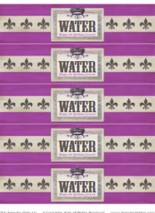 Knights Princesses Water Bottle Labels TheSassabyPartyCo design preview