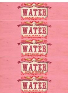Girls Baseball Rockford Peaches Water Bottle Labels: Girls Baseball Rockford Peaches Water Bottle Labels
