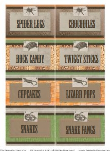Reptile Party Labels TheSassabyPartyCo: Reptile Party Labels TheSassabyPartyCo