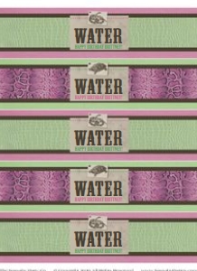 Girly Reptile Water Labels TheSassabyPartyCo: Girly Reptile Water Labels TheSassabyPartyCo