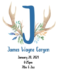 Antler Baby Stats 11x14: Boy Antler Birth Stats