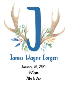 Antler Baby Stats 16x20: Boy Antler Birth Stats