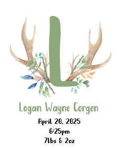 Antler Baby Stats 8x10: Boy Antler Birth Stats