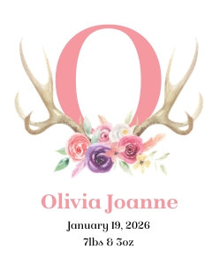 Floral Girl Antler Stats 8x10: Girl Antler Birth Stats