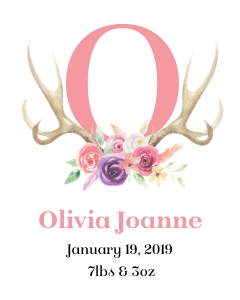 Floral Girl Antler Stats 16x20: Girl Antler Birth Stats
