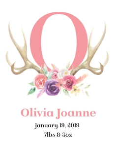 Floral Girl Antler Stats 11x14: Girl Antler Birth Stats