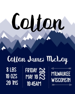 Mountain Baby Stats - Blue 16x20: Mountain Birth Stats - Blue