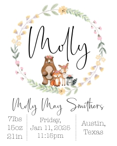 16x20 Animals Flowers Woodland Birth Stats: Woodland Animals Flower Baby Stats Sign