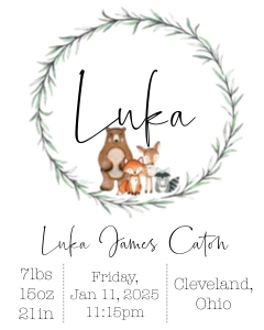 8x10 Animals Woodland Birth Stats: Woodland Animals Birth Stats Sign