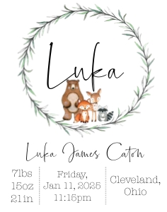 11x14 Animals Woodland Birth Stats: Woodland Animals Birth Stats Sign
