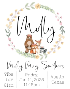 11x14 Animals Flowers Woodland Birth Stats: Woodland Animals Flower Baby Stats Sign