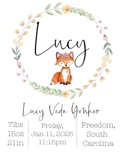 16x20 Fox Flowers Woodland Birth Stats: Woodland Fox Flower Baby Stats Sign