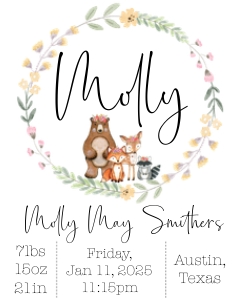 8x10 Animals Flowers Woodland Birth Stats: Woodland Animals Flower Baby Stats Sign