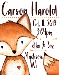 Fox Birth Stats Sign 11x14: Large Fox Birth Stats