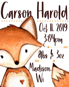 Fox Birth Stats Sign 16x20: Large Fox Birth Stats