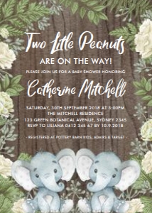BOT2 - Twins Baby Shower Invite design preview