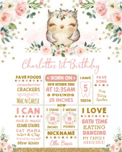 OWL1 - Birthday Poster design preview