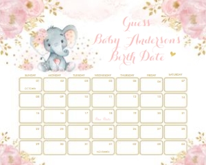 EL6 - Due Date Calendar 16x20 INCHES: EL6 - Due Date Calender 8x10 INCHES