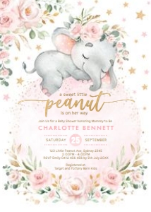 EL17 - Baby Shower Invite C: EL17 - Baby Shower Invite C