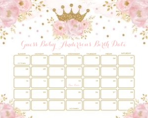 FLO18I - Due Date Calendar 16x20 INCHES: FLO18I - Due Date Calendar 16x20 INCHES