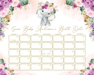 EL13 - Due Date Calendar 16x20 INCHES: EL13 - Due Date Calendar 16x20 INCHES