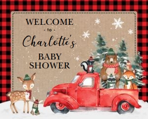 WINT3 - Welcome Sign B 16x20 INCHES: WINT3 - Welcome Sign B 18x24 INCHES