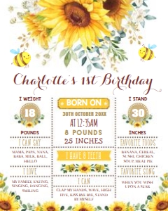 SUN4 - Milestone Poster design preview