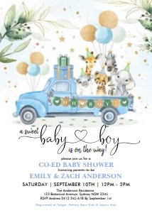 DB5 - Drive By Baby Boy Invite design preview