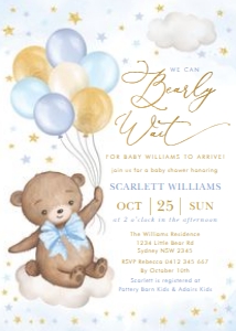 BR7 - Baby Shower Invite D design preview