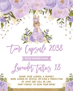 FLO18DB - Time Capsule design preview