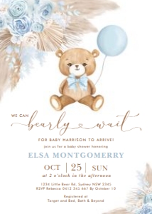 BR11 - Baby Shower Invite C design preview