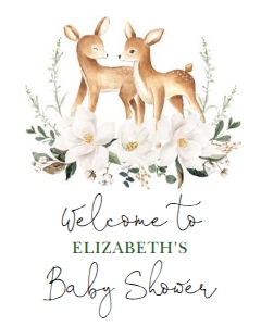 DEER11 - Twins Welcome Sign 16x20 INCHES design preview