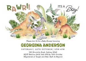 DIN3 - Baby Shower Invite B design preview