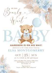 BR11 - Baby Shower Invite BUNDLE design preview