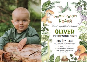 DIN3 - Birthday Photo Invite D: DIN3 - Birthday Photo Invite D