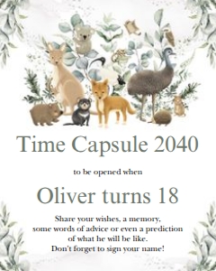 OZ2 - Time Capsule design preview